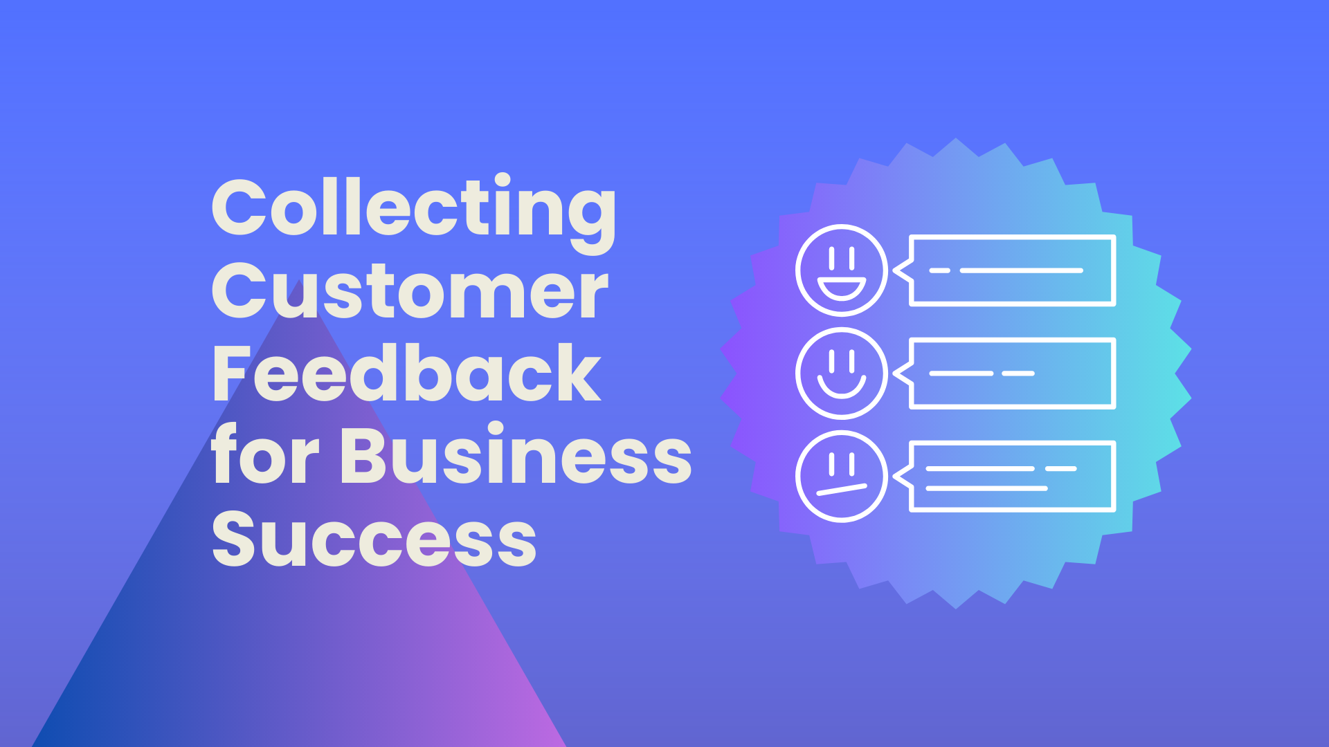 Collecting Customer Feedback for Business Success
